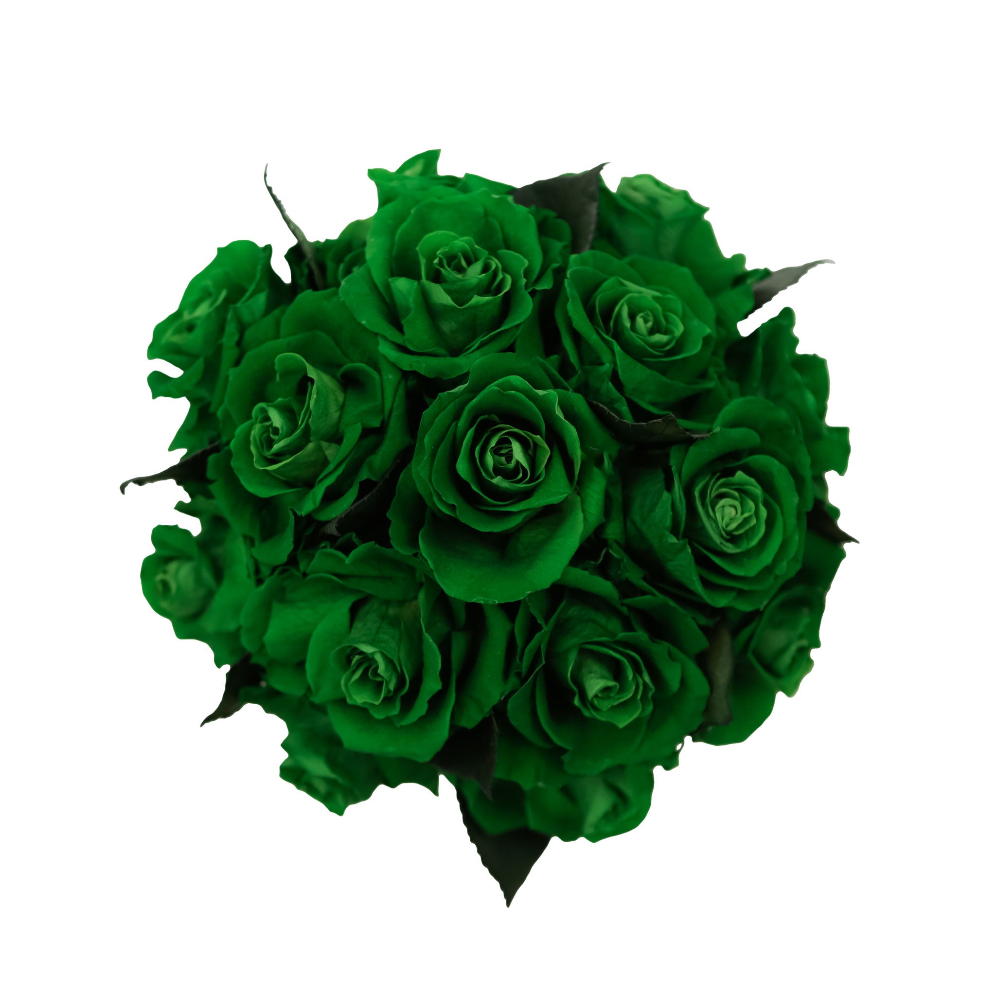 Neutral preserved roses in box – minimalist home décor gift.