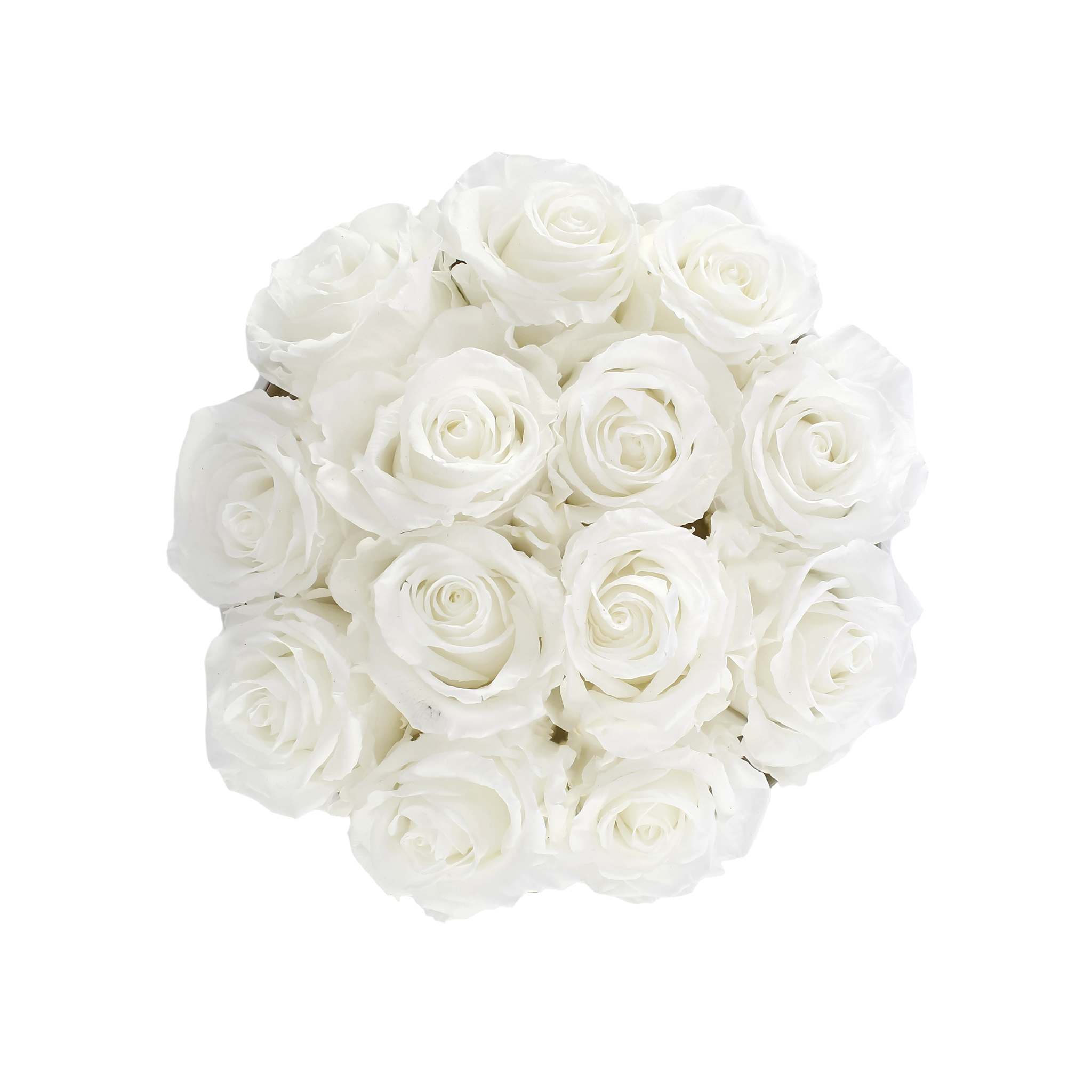 Charm White