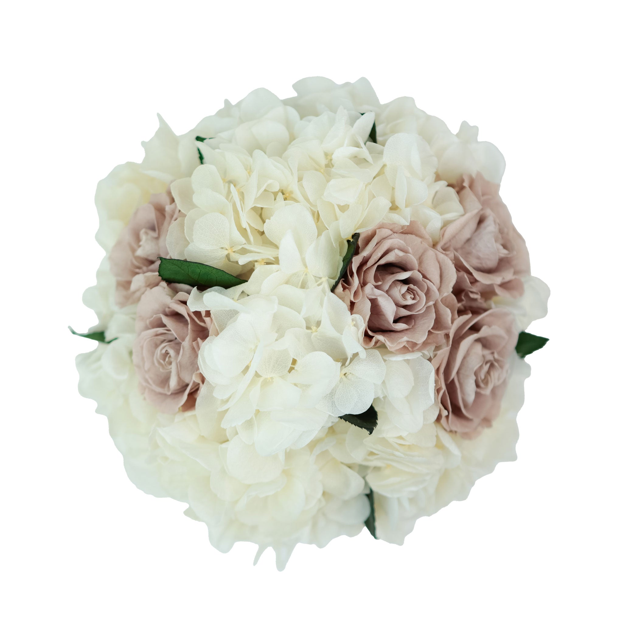 Neutral preserved roses in box – minimalist home décor gift.