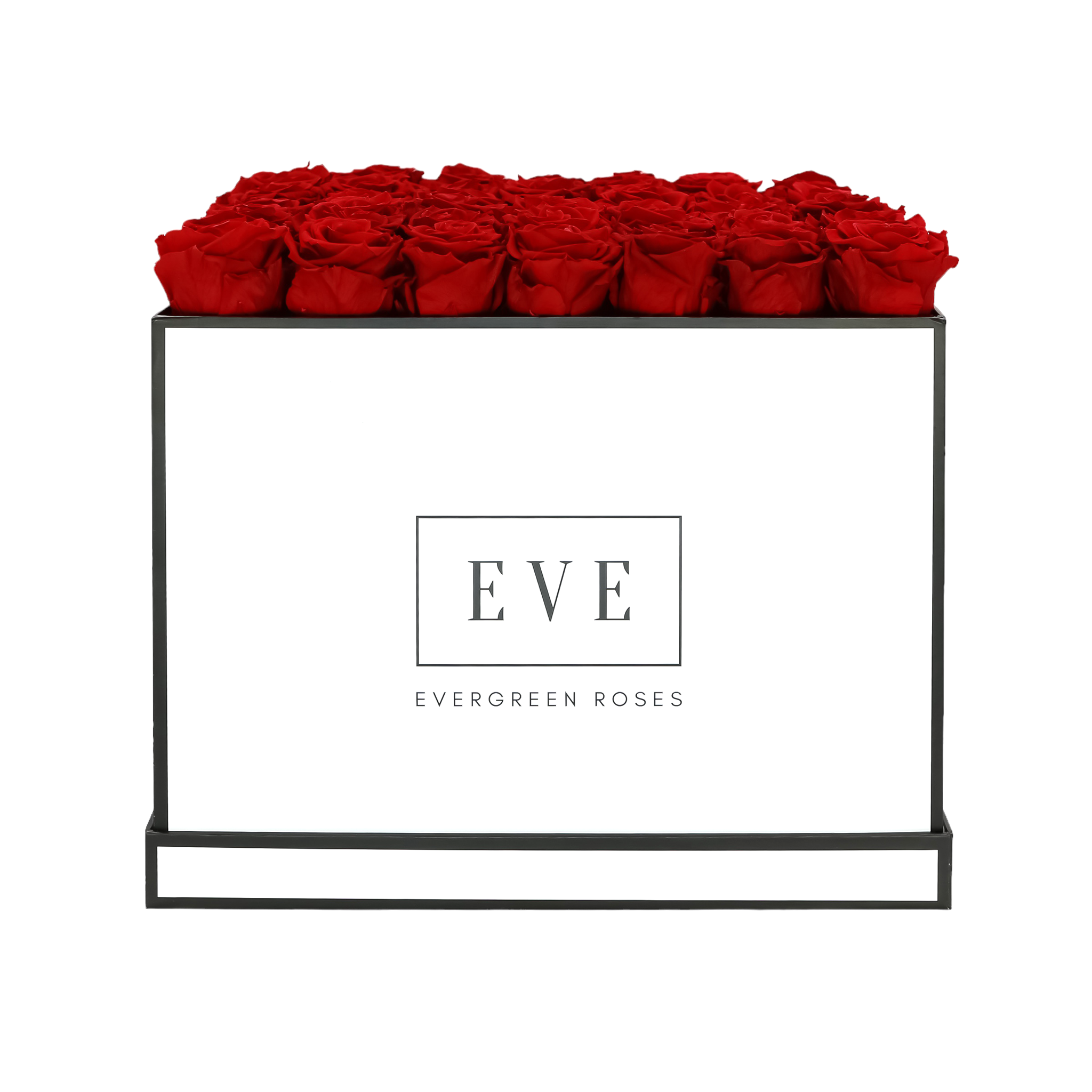 Signature preserved roses design – luxury flower arrangement Evergreen Roses