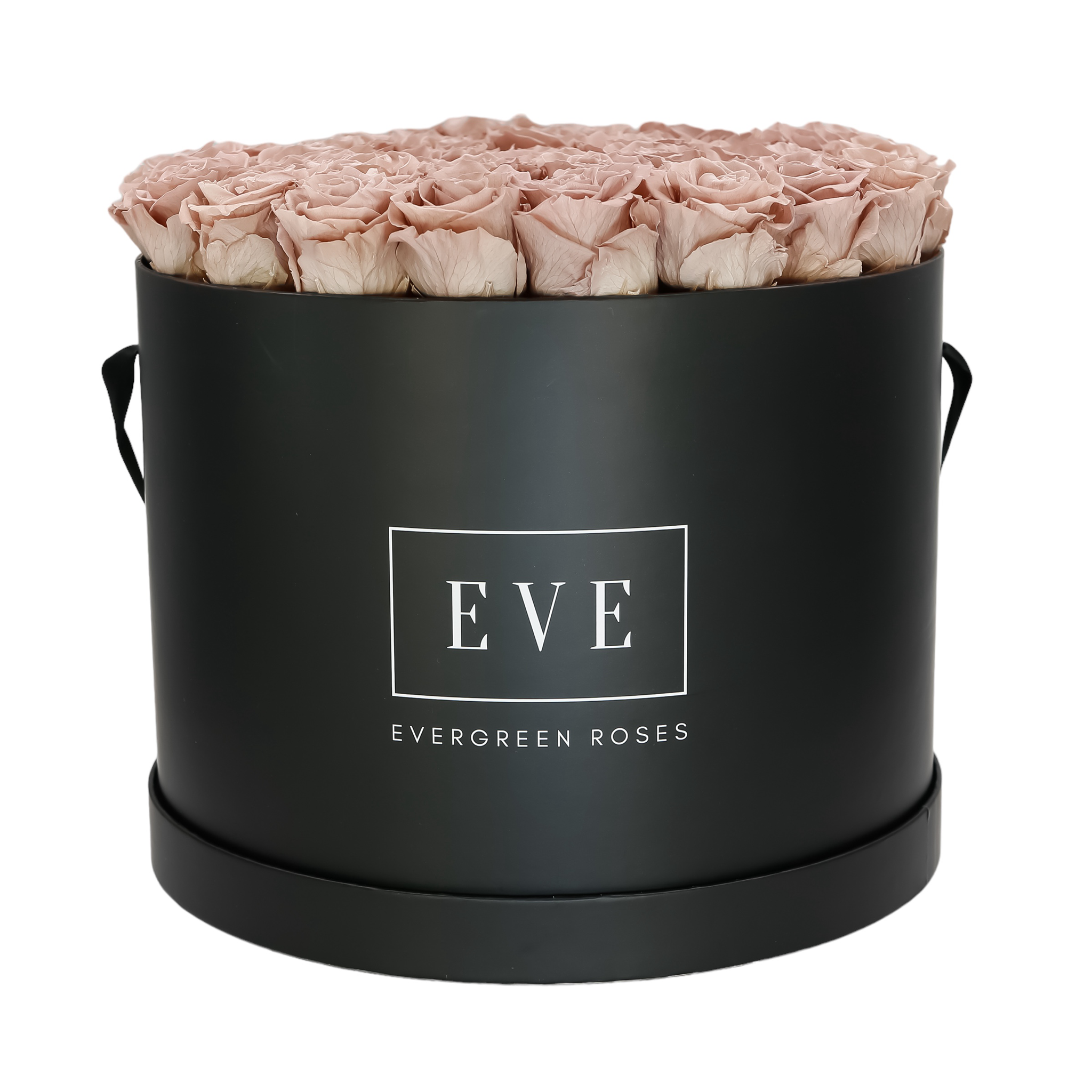 Modern preserved rose design – unique everlasting flower gift.