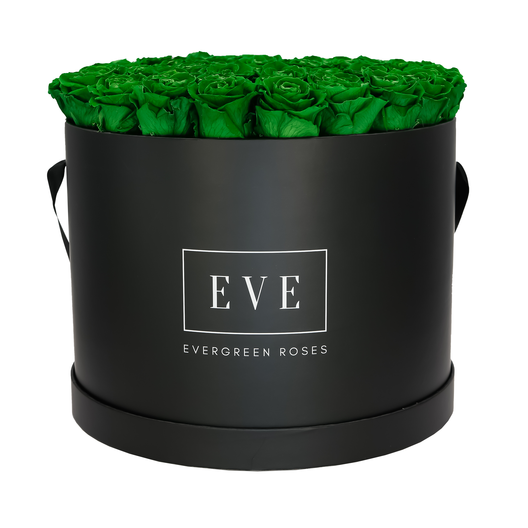 Modern preserved rose design – unique everlasting flower gift.