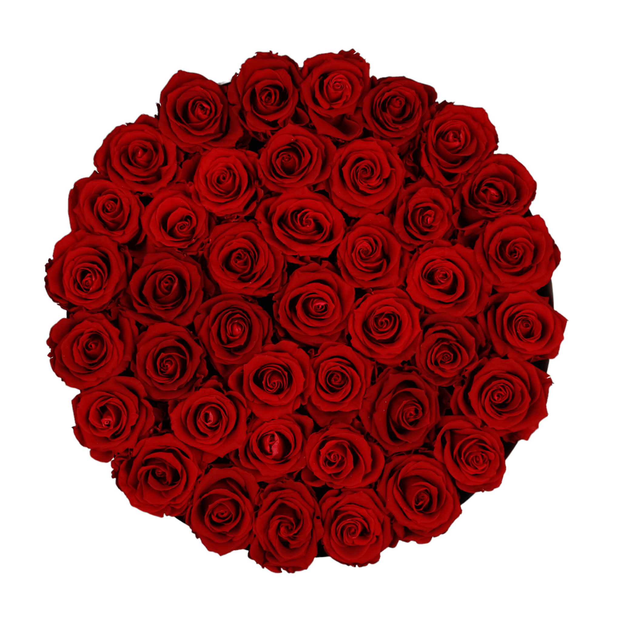 Luxury preserved roses in artistic arrangement – Evergreen Roses Seattle.