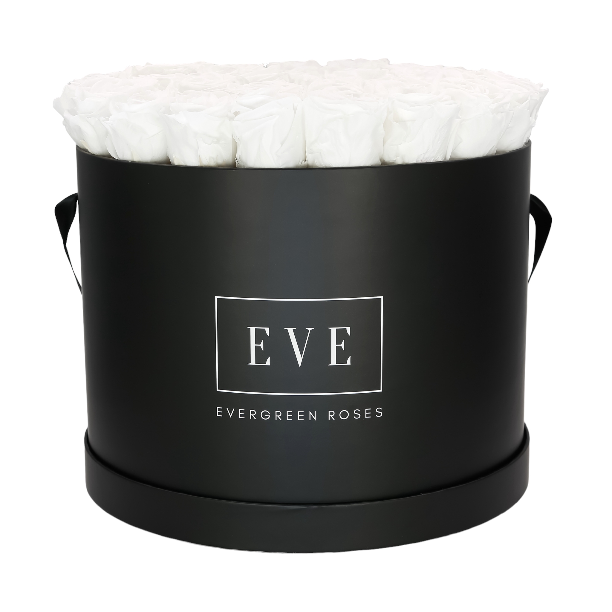 Modern preserved rose design – unique everlasting flower gift.