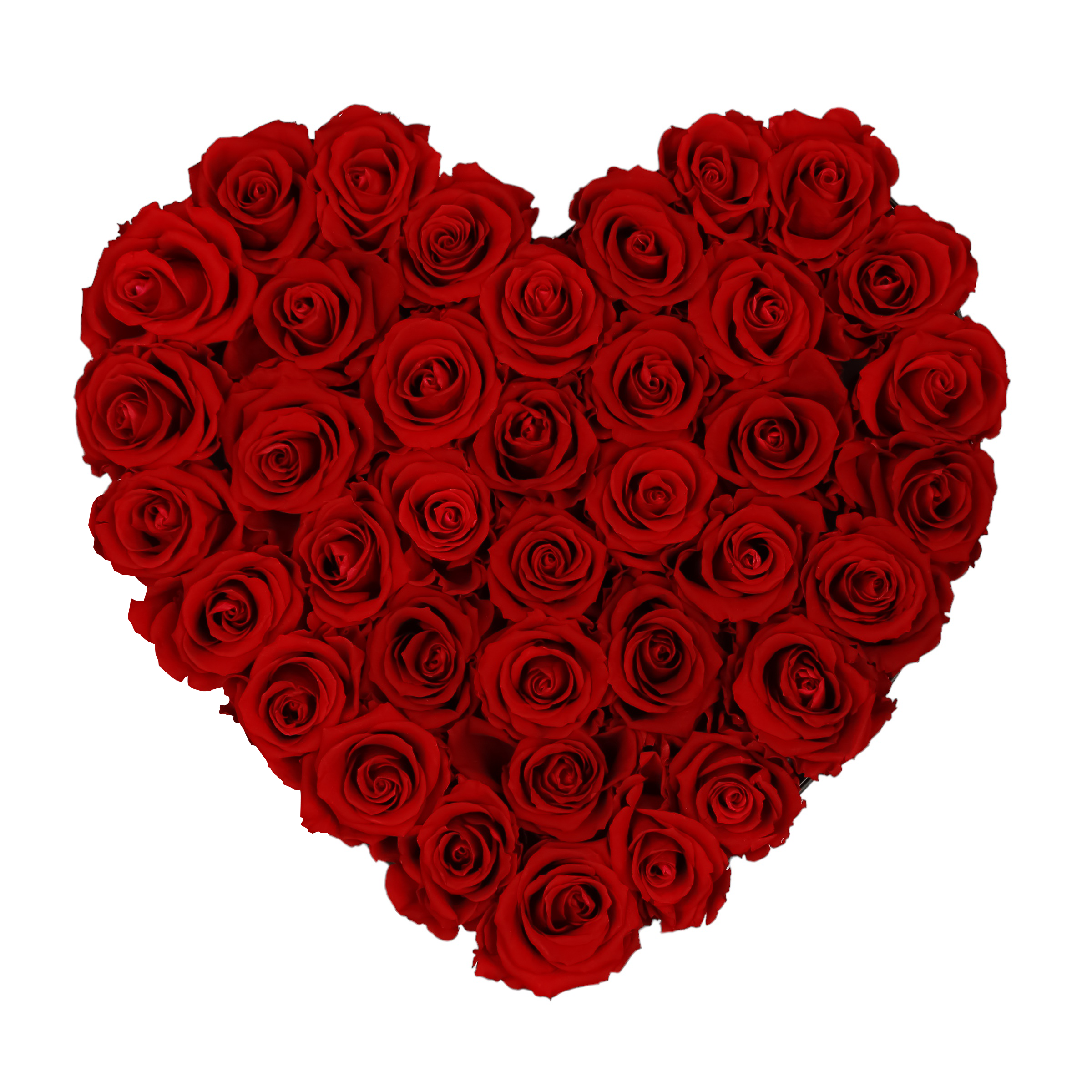 Luxury heart preserved roses — elegant Ecuadorian blooms that last 365+ days.