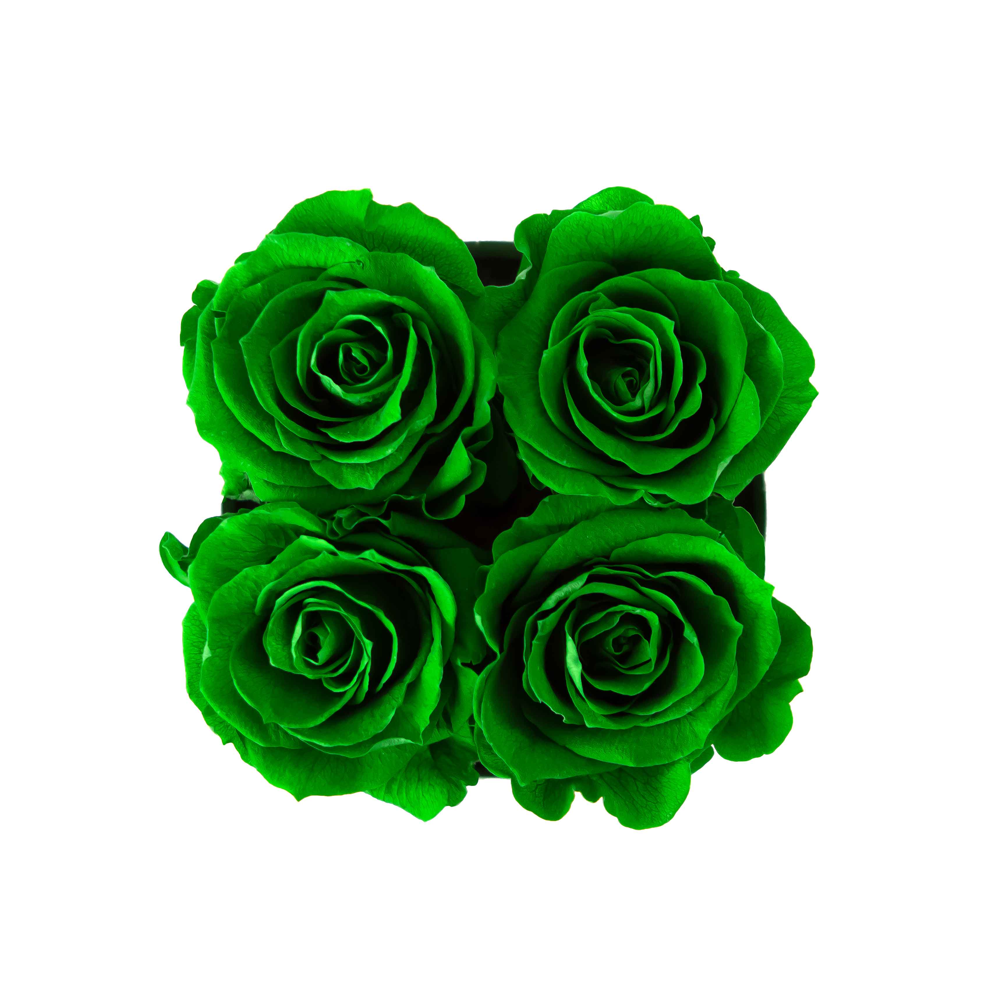 Handcrafted preserved roses – everlasting design Pacific Northwest.