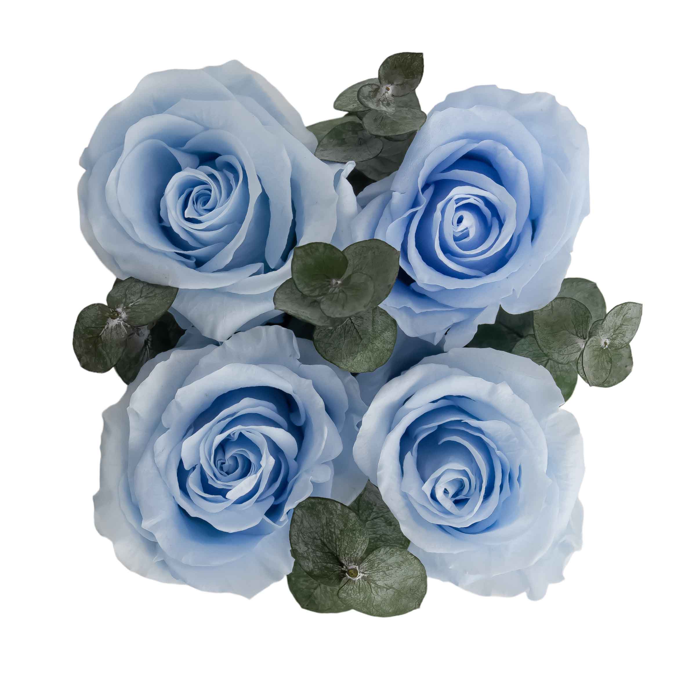 Compliment White with Eucalyptus