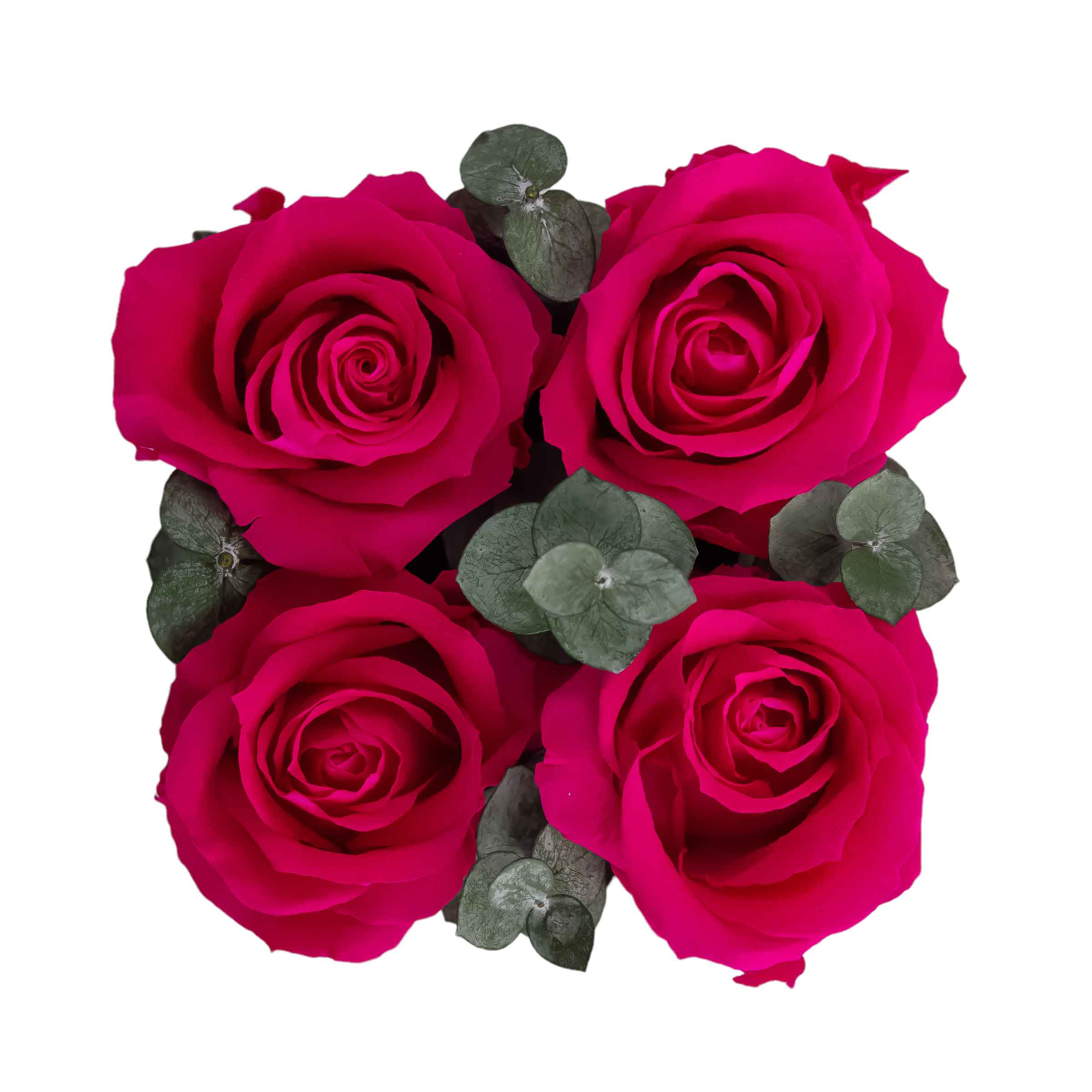 Compliment White with Eucalyptus