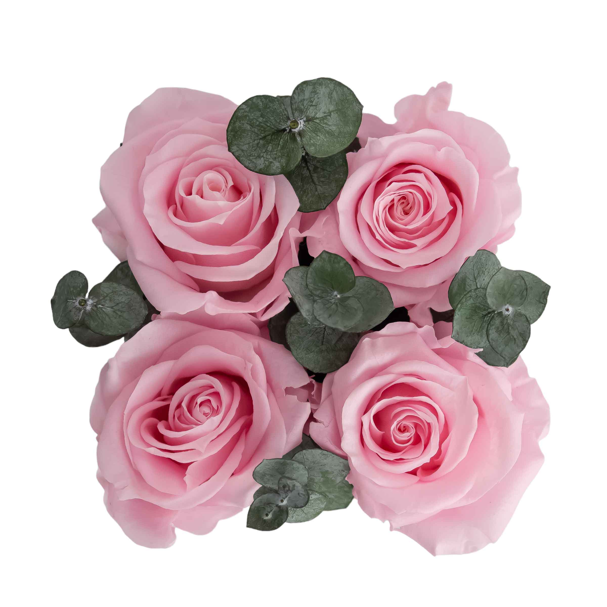 Compliment White with Eucalyptus