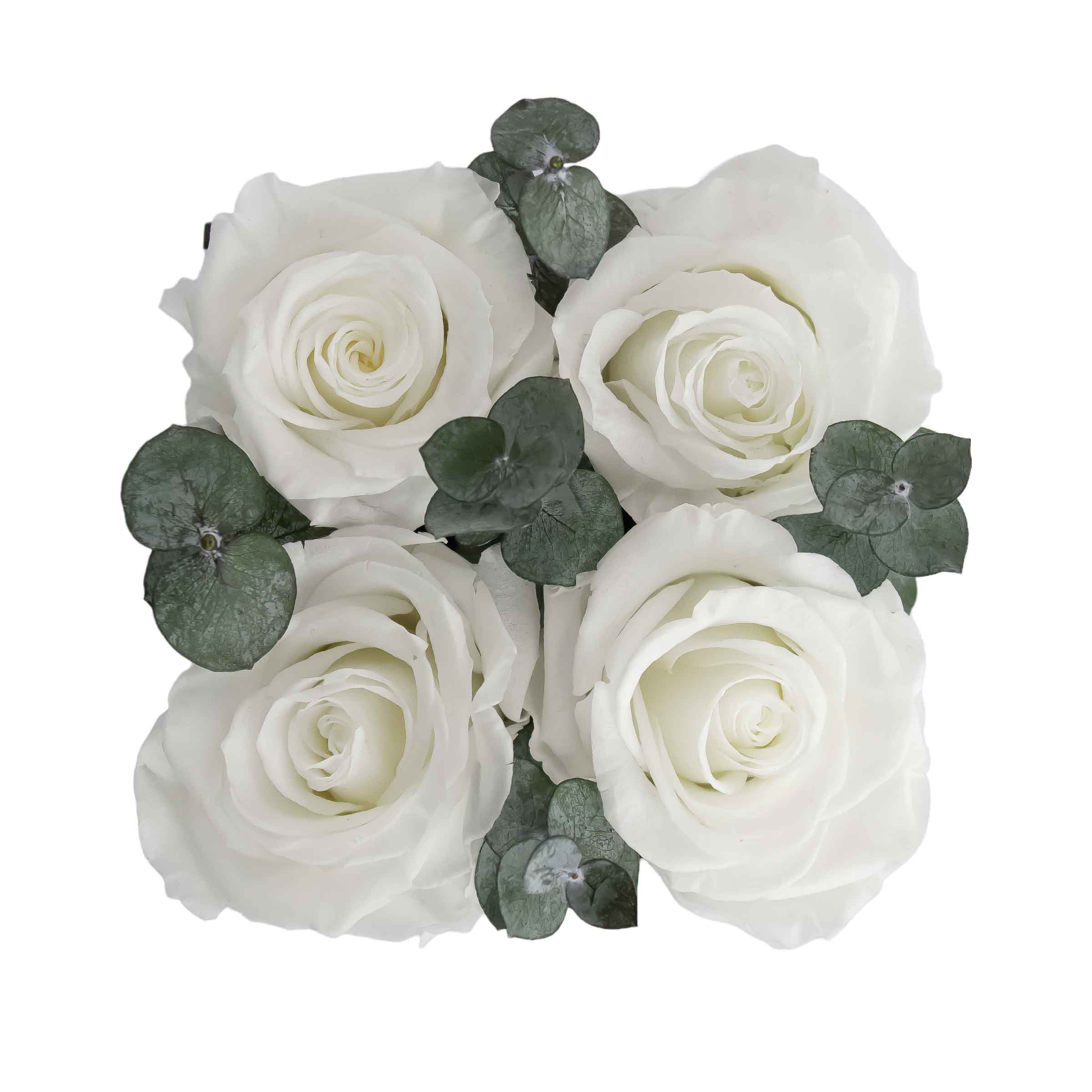 Compliment White with Eucalyptus