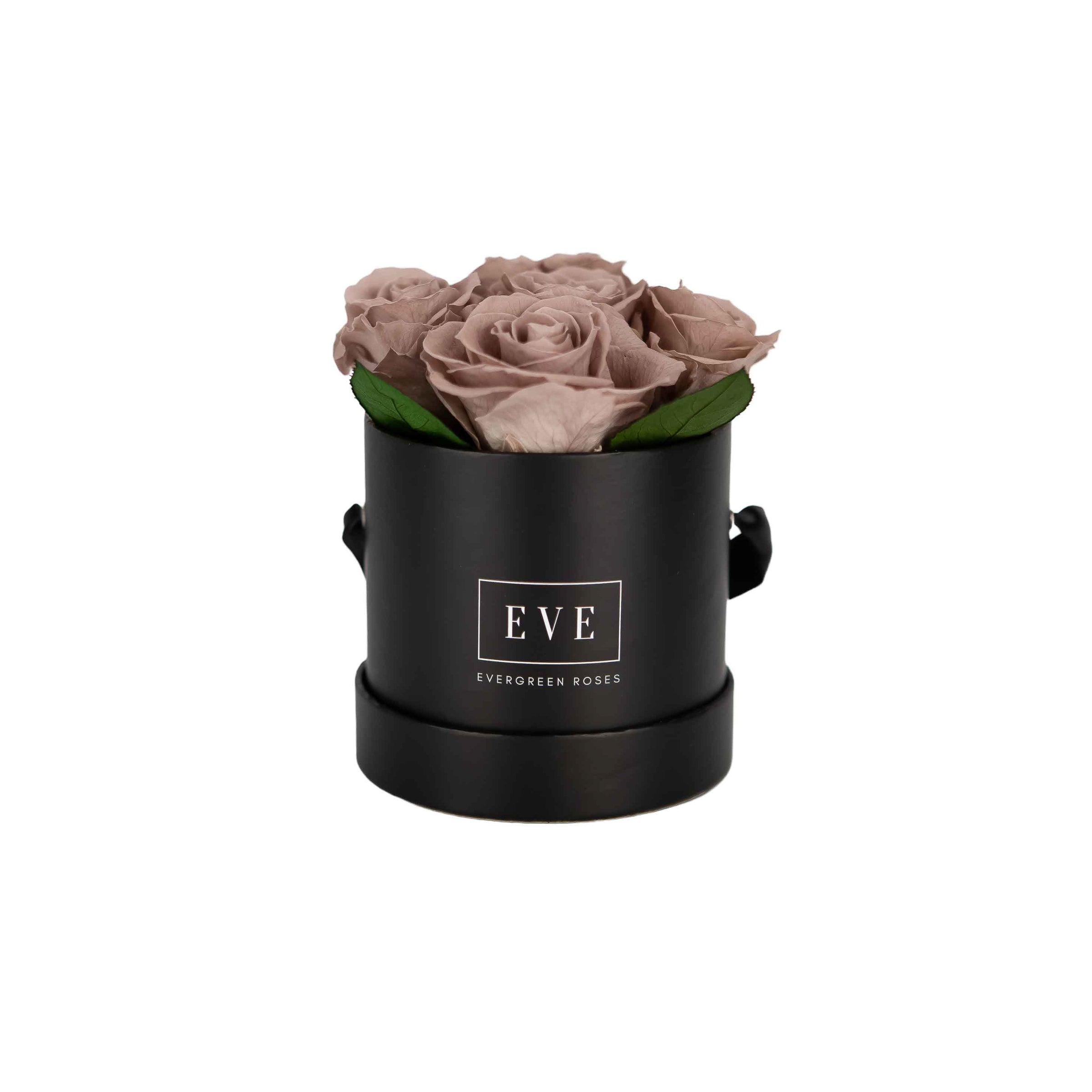 Pebble Black with Leaves