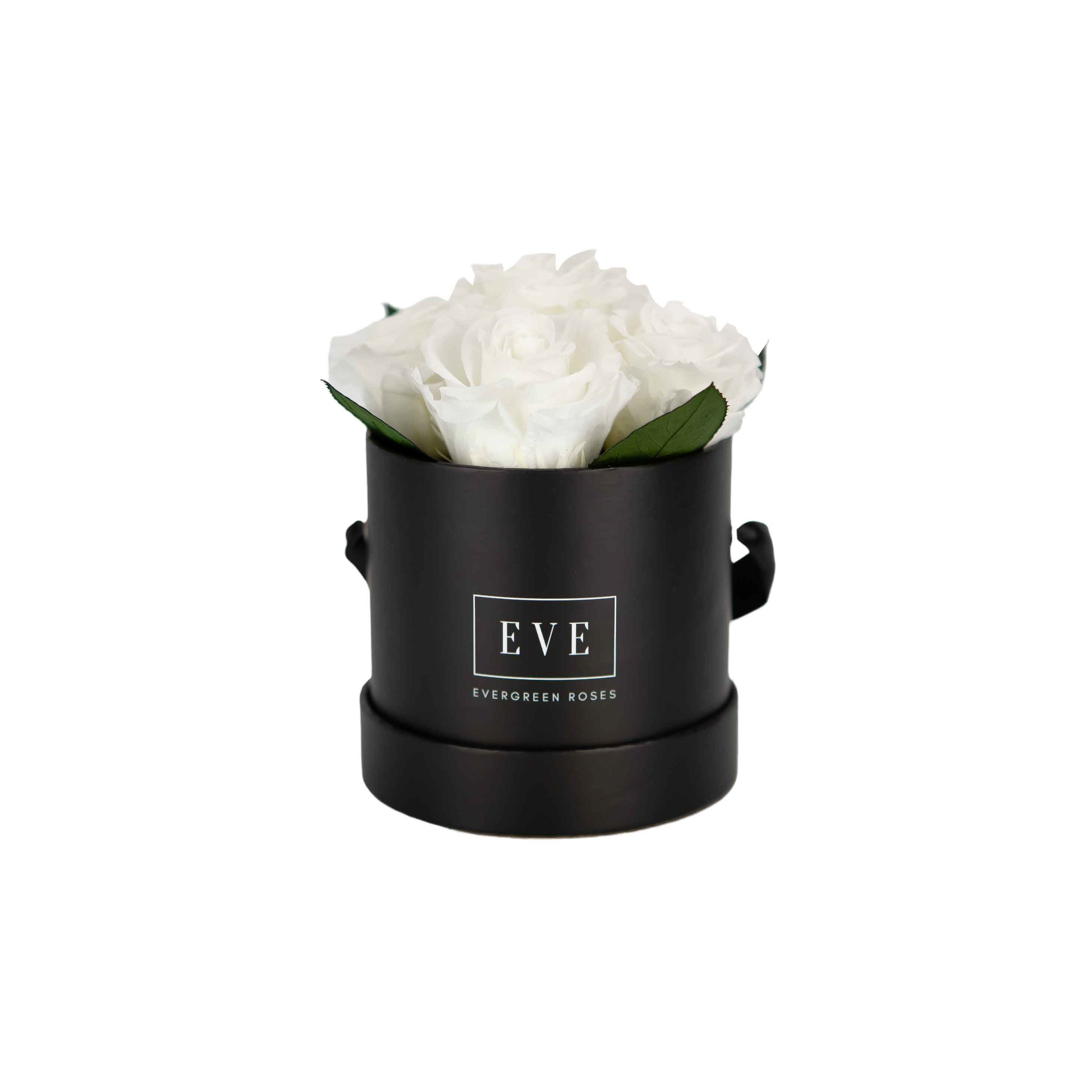 Pebble Black with Leaves