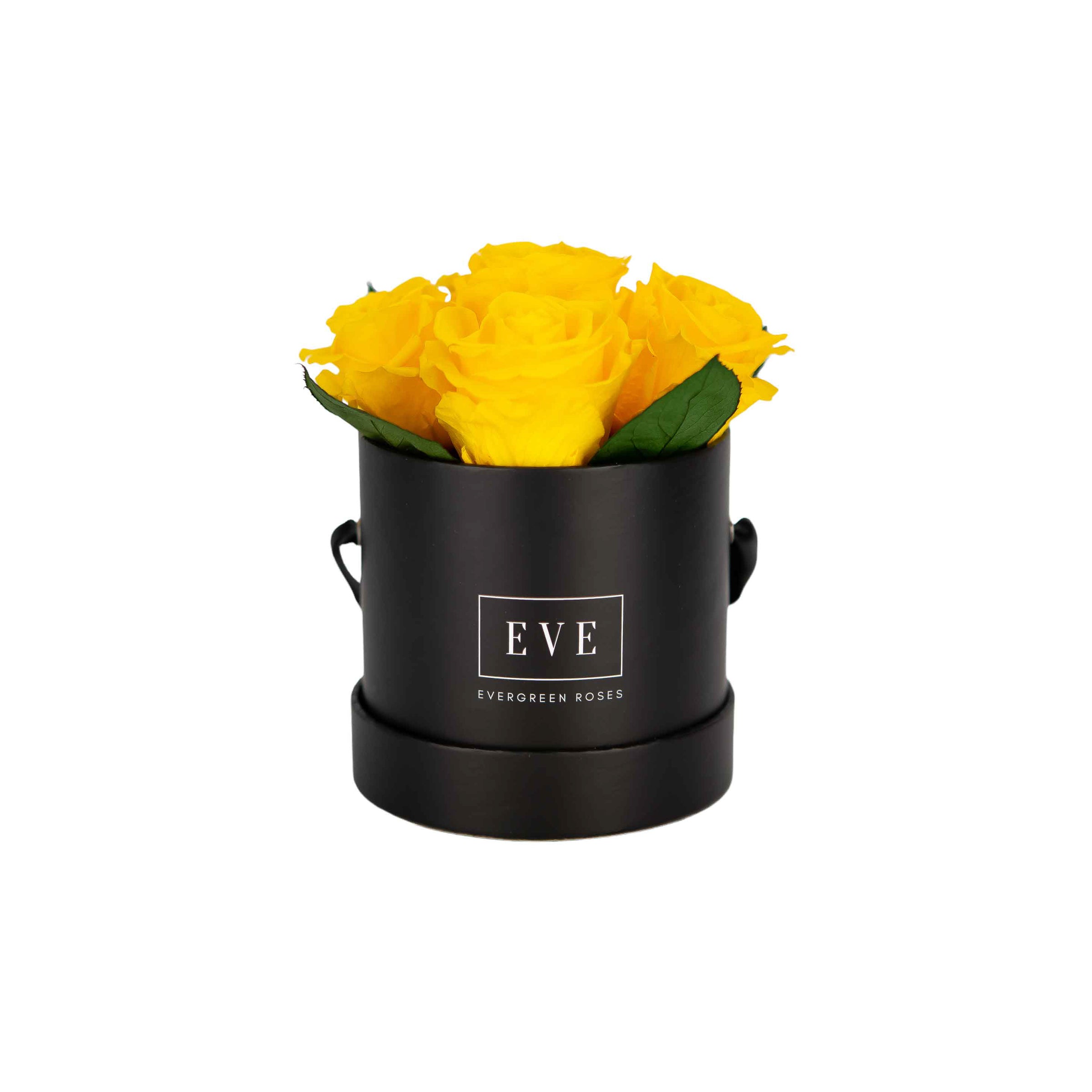 Pebble Black with Leaves