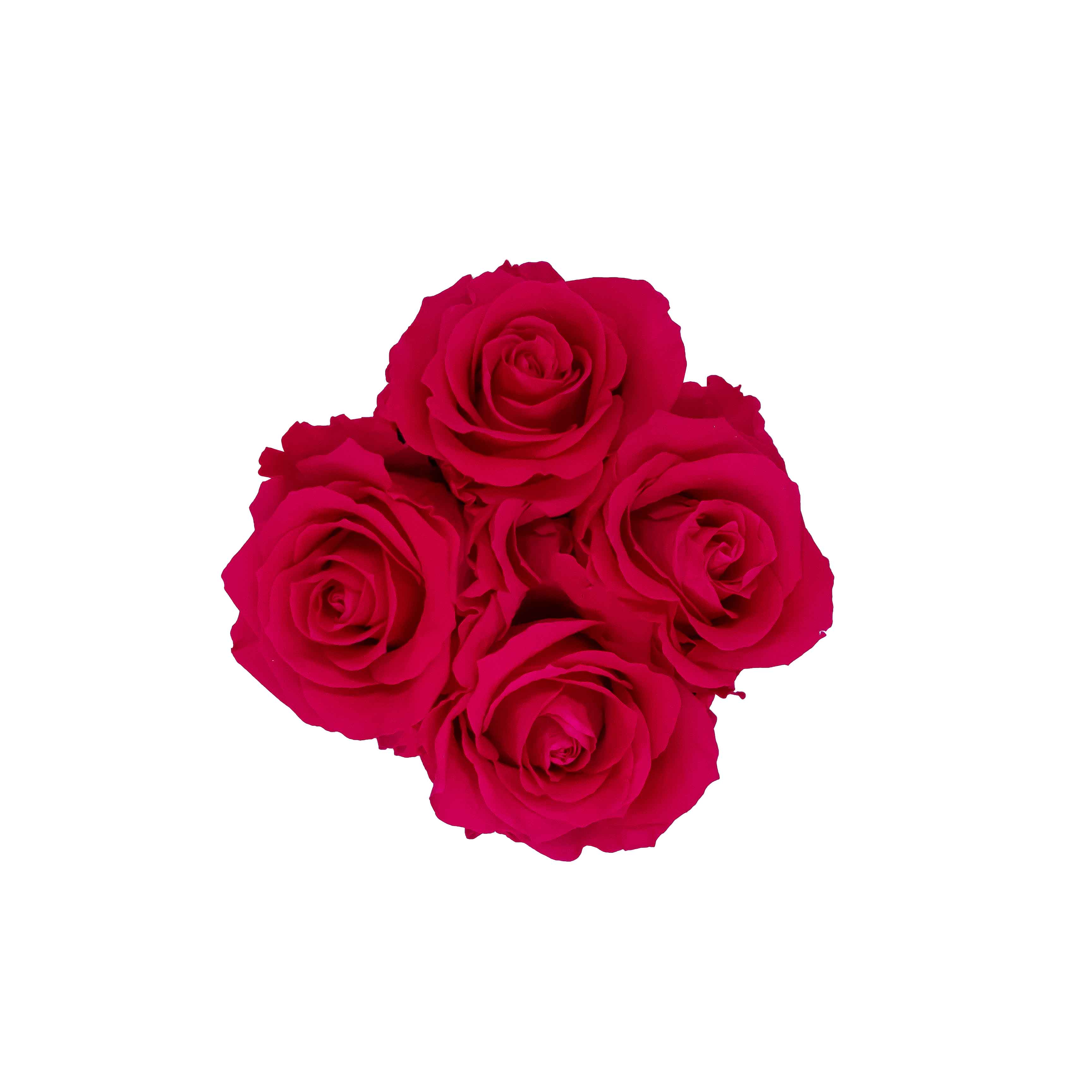 Preserved roses in pebble-inspired box – modern luxury arrangement Seattle.