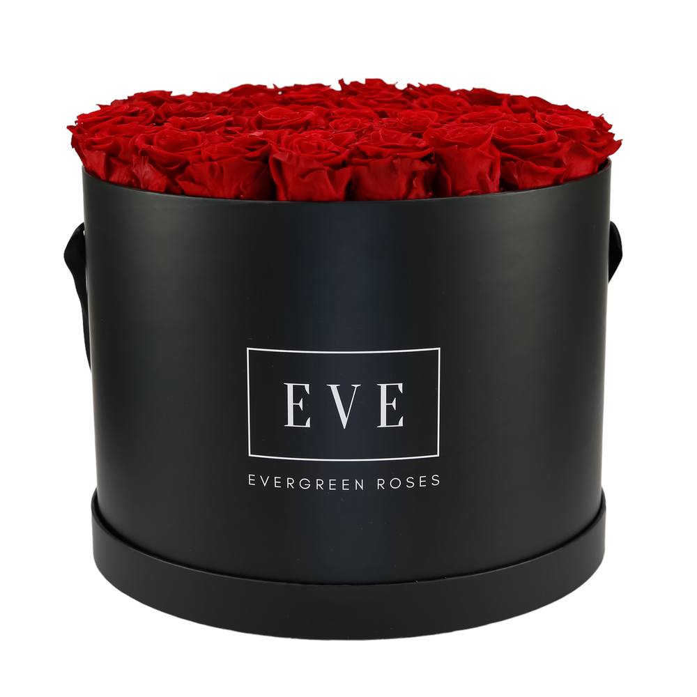 Impression Black – Evergreen Roses